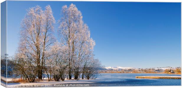 Winters day at Llangorse Lake  Canvas Print by Chris Warren