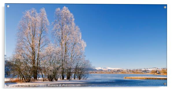 Winters day at Llangorse Lake  Acrylic by Chris Warren