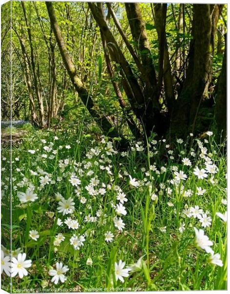 Woodland wild Flowers  Canvas Print by Mark Ritson