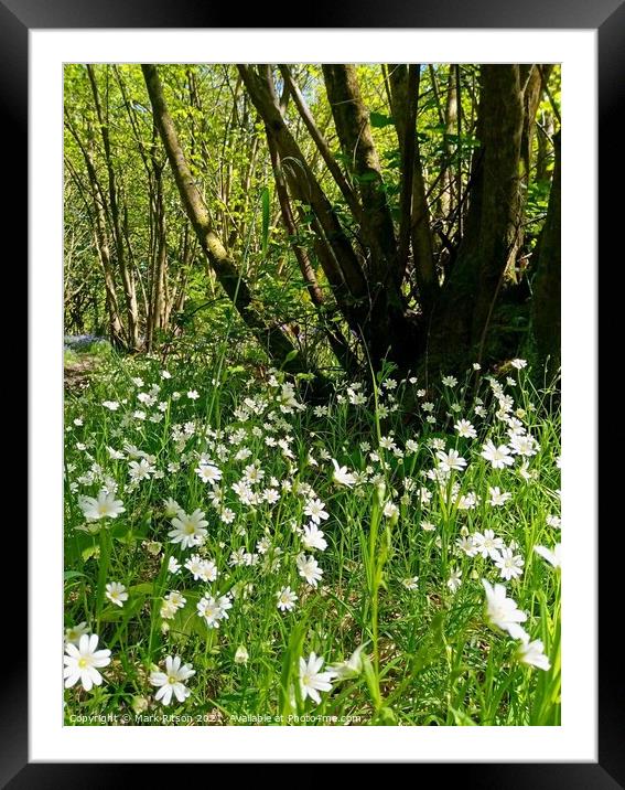 Woodland wild Flowers  Framed Mounted Print by Mark Ritson