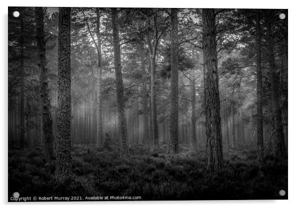 Morning Forest Monochrome Acrylic by Robert Murray