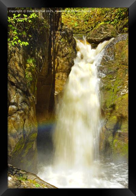 Hollybush Spout waterfall at Ingleton in the Yorks Framed Print by David Birchall