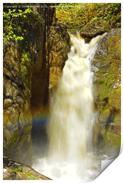 Hollybush Spout waterfall at Ingleton in the Yorks Print by David Birchall