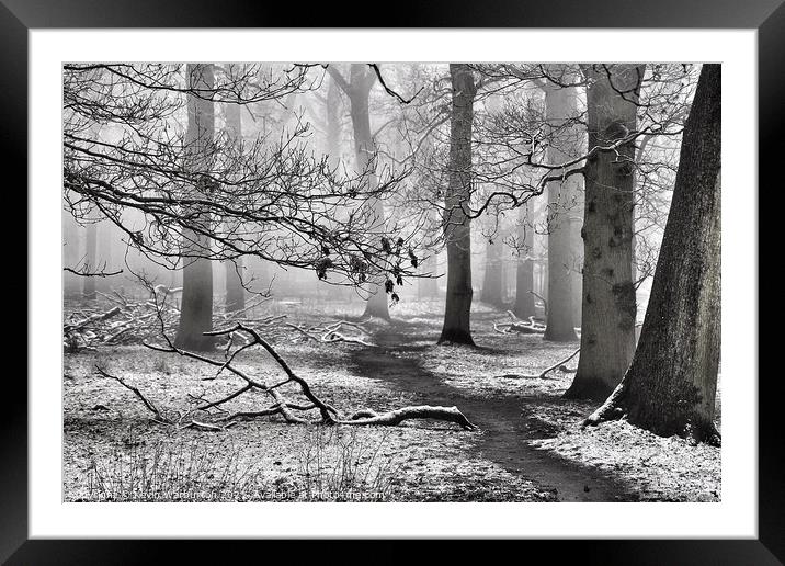 Frosty Trees Framed Mounted Print by Kevin Warburton