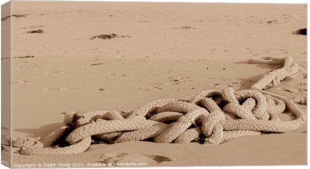 Ropy sand snake Canvas Print by Ralph Greig