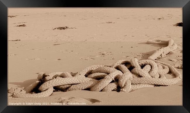 Ropy sand snake Framed Print by Ralph Greig
