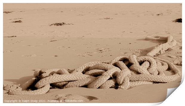 Ropy sand snake Print by Ralph Greig