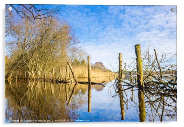 Frensham Little Pond Acrylic by Graham Prentice