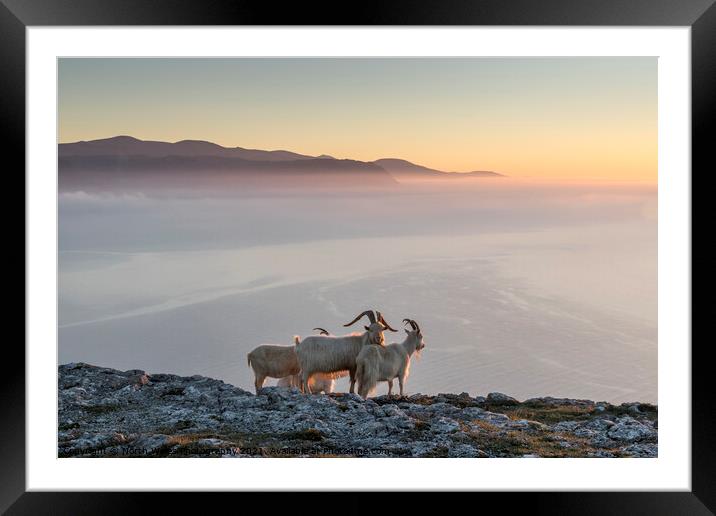 Watching the sun go down Framed Mounted Print by North Wales Photography