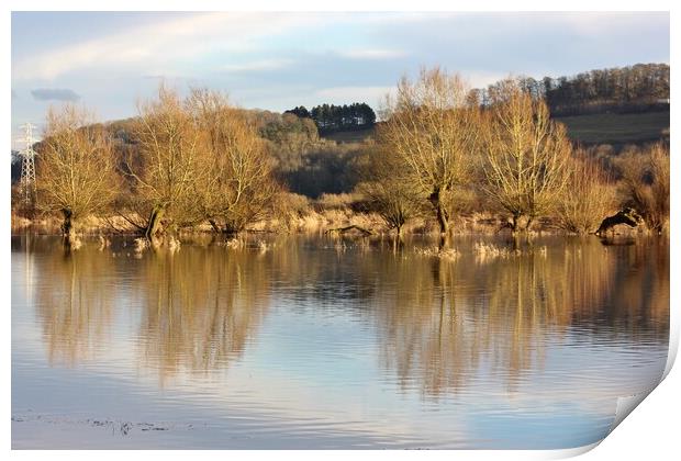 Ashleworth Ham Wetland Print by Susan Snow