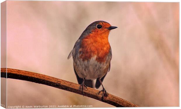 Robin sitting alone. Canvas Print by Kevin Warburton