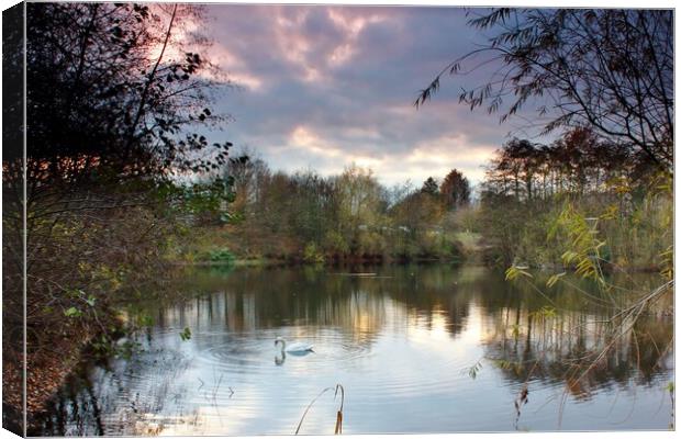 Beckford Nature Reserve Canvas Print by Susan Snow