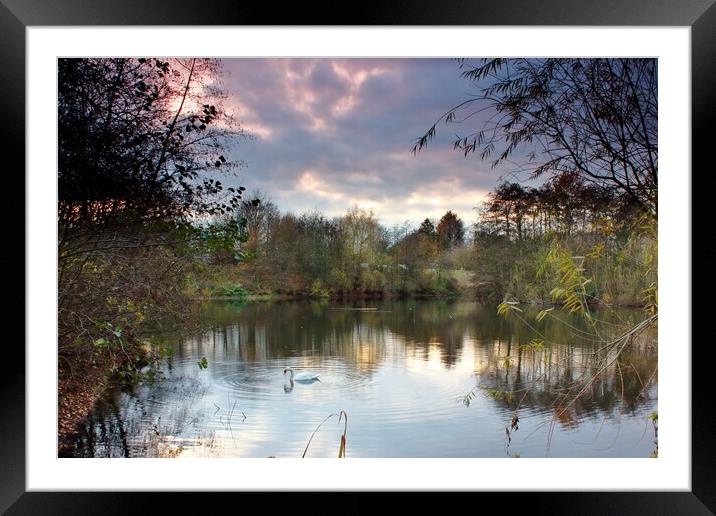 Beckford Nature Reserve Framed Mounted Print by Susan Snow
