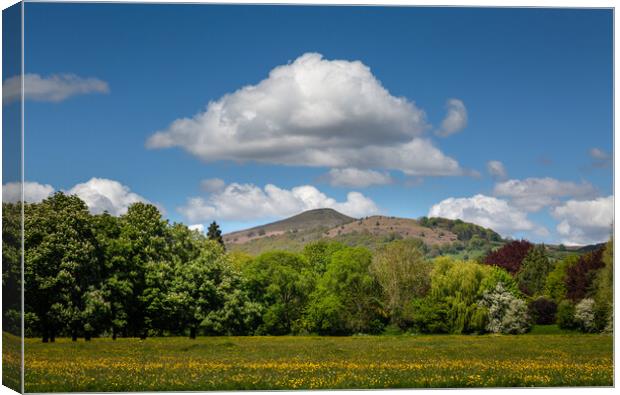 Skirrid mountain and Castle Meadows park Canvas Print by Leighton Collins