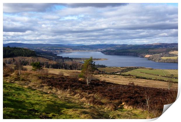 View Over Dornoch Firth Print by Jacqi Elmslie