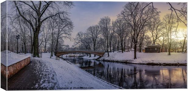 Sunset in snowy city park Canvas Print by Maria Vonotna