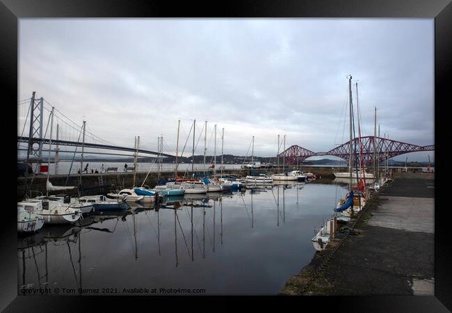 Queensferry Harbour and Bridges Framed Print by Tom Gomez