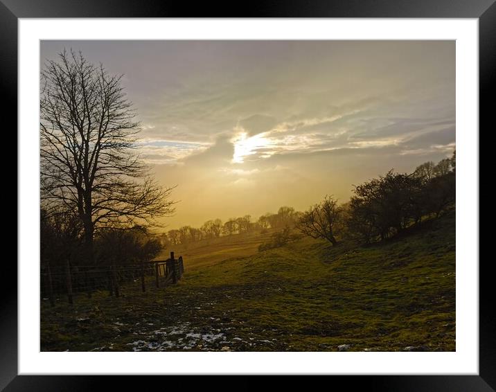A sunset scene in Wensleydale  Framed Mounted Print by sarah chilton