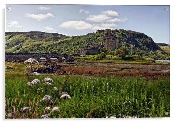 Eilean Donan Castle Acrylic by Sam Smith