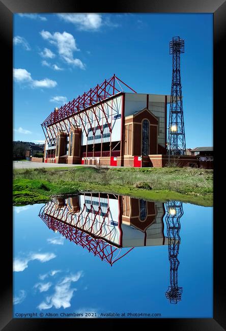 Barnsley Football Club  Framed Print by Alison Chambers
