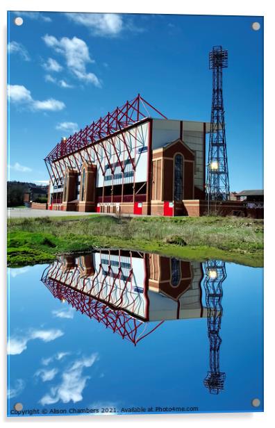 Barnsley Football Club  Acrylic by Alison Chambers