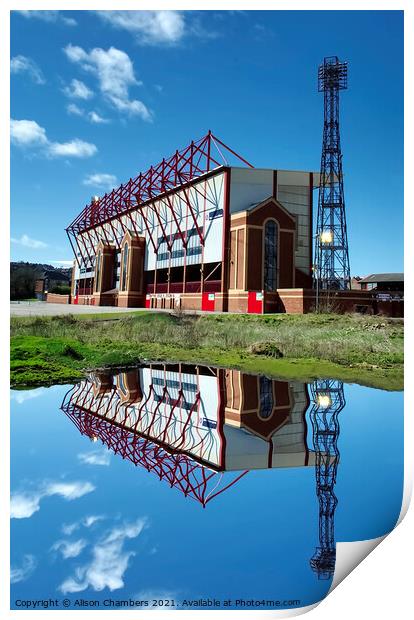 Barnsley Football Club  Print by Alison Chambers