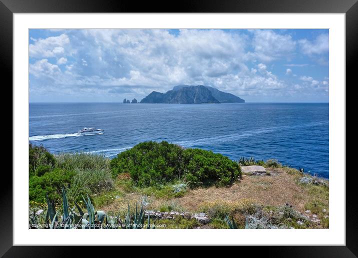 The Island of Capri from Sorrento Framed Mounted Print by Diana Mower