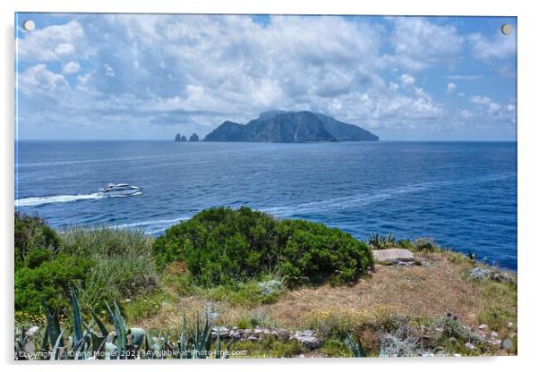 The Island of Capri from Sorrento Acrylic by Diana Mower
