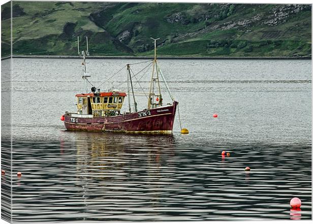 Our Seafarer Canvas Print by Sam Smith