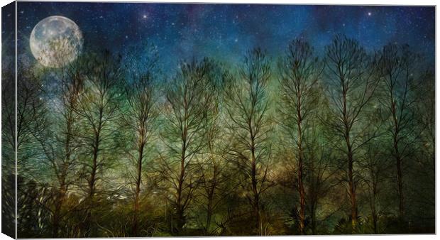 NIGHT SKY TREES MOON & STARS Canvas Print by LG Wall Art