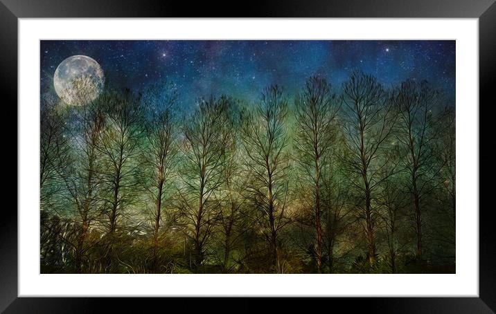 NIGHT SKY TREES MOON & STARS Framed Mounted Print by LG Wall Art