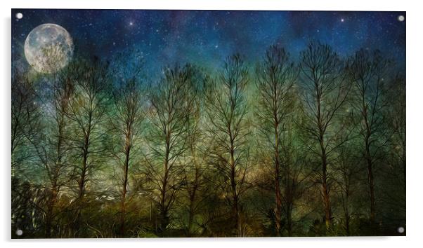 NIGHT SKY TREES MOON & STARS Acrylic by LG Wall Art