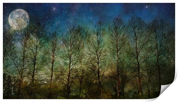 NIGHT SKY TREES MOON & STARS Print by LG Wall Art