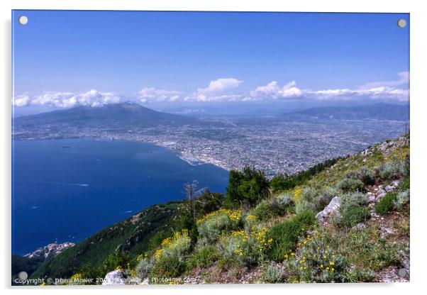 The Beautiful Bay of Naples Italy Acrylic by Diana Mower