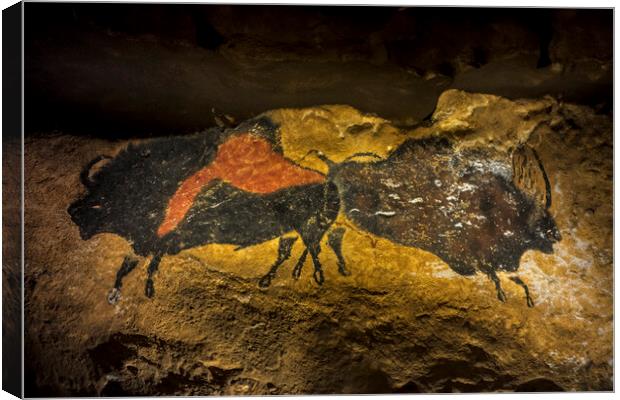 Lascaux Bisons Canvas Print by Arterra 