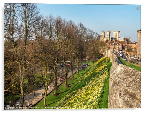 York City Wall and Minster in Spring Acrylic by Mark Sunderland