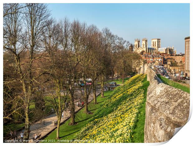 York City Wall and Minster in Spring Print by Mark Sunderland