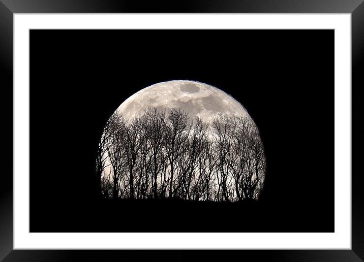 Silhouette Moonrise Framed Mounted Print by Susan Snow