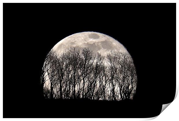 Silhouette Moonrise Print by Susan Snow