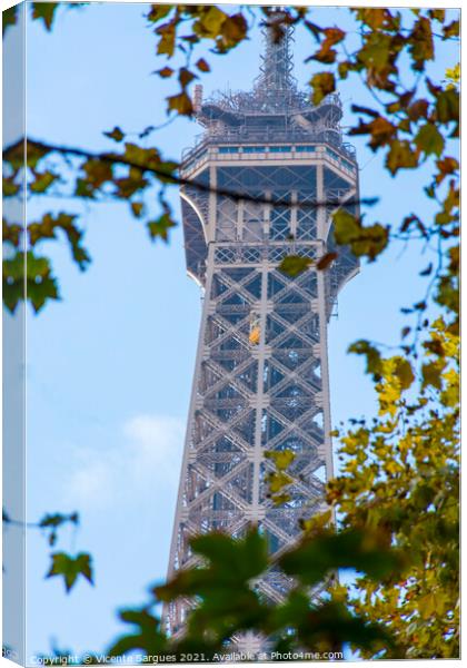 The Eiffel Tower between branches Canvas Print by Vicente Sargues