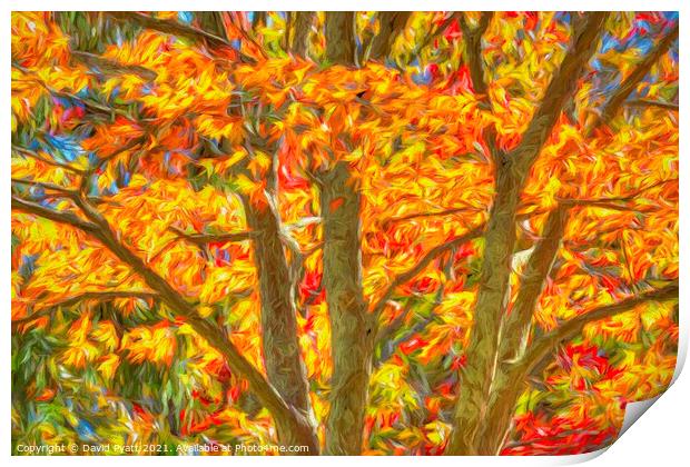 Art Of  Sleepy Hollow Autumn  Print by David Pyatt