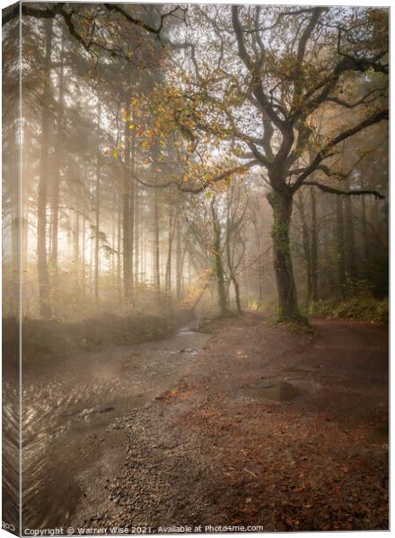 Woodland Foggy Walk Canvas Print by Warren Wise