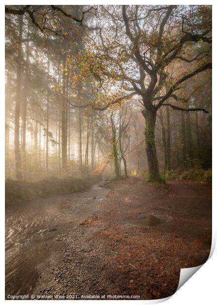 Woodland Foggy Walk Print by Warren Wise
