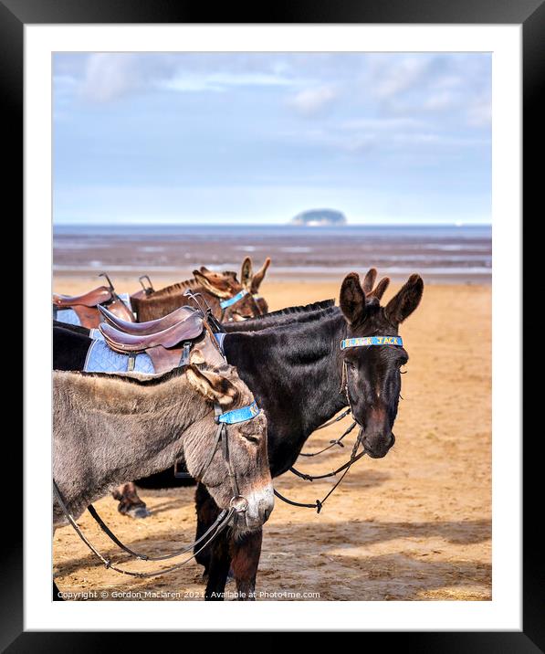 Donkeys, Weston-super-Mare Framed Mounted Print by Gordon Maclaren