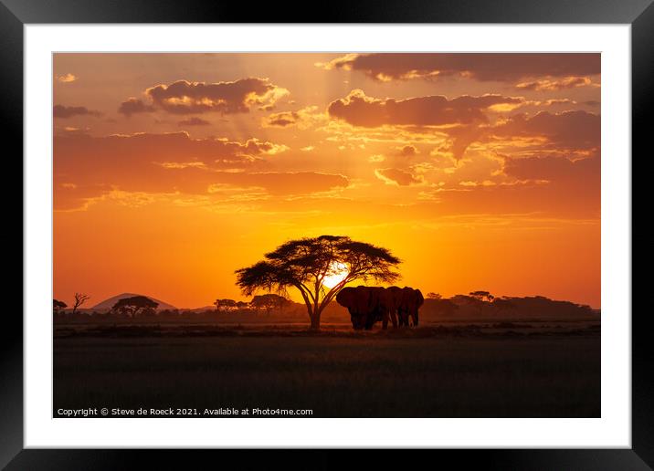 Elephants At Sunset Framed Mounted Print by Steve de Roeck