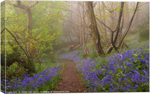 Bluebell Pathway Canvas Print by Dawn Cox