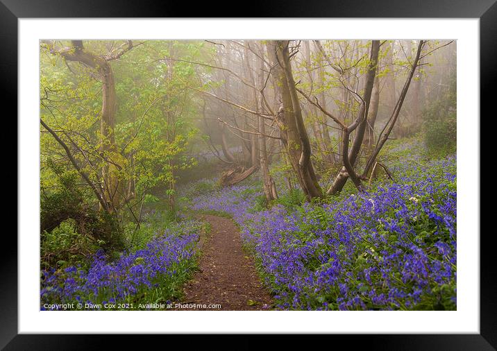 Bluebell Pathway Framed Mounted Print by Dawn Cox