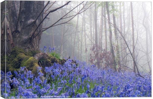 Beautiful Bluebell Wood Canvas Print by Dawn Cox