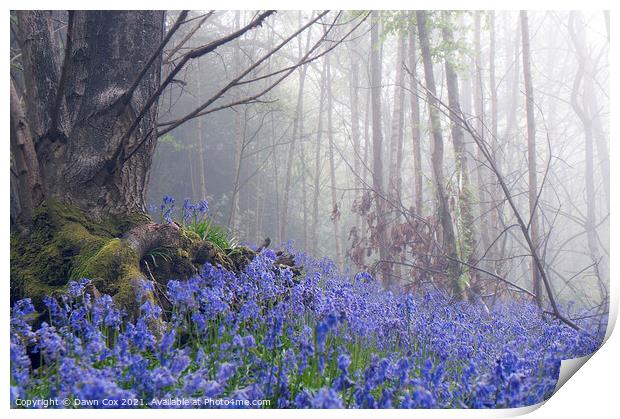 Beautiful Bluebell Wood Print by Dawn Cox