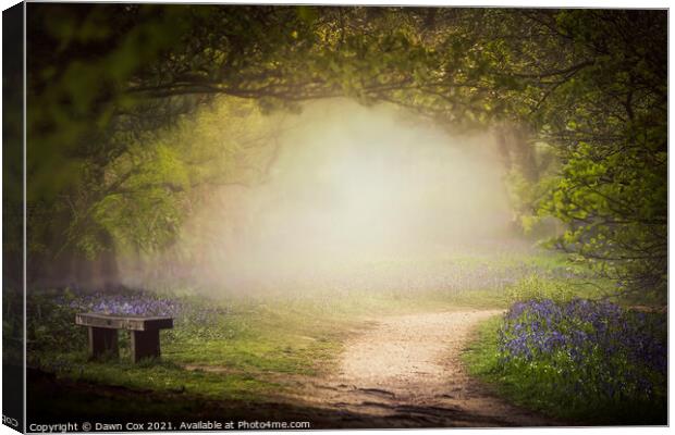 The Bluebell Glade Canvas Print by Dawn Cox